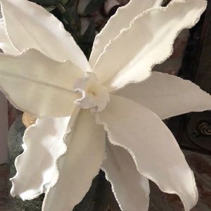 Meet your Posher, Sheila